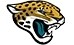 Jaguars Store